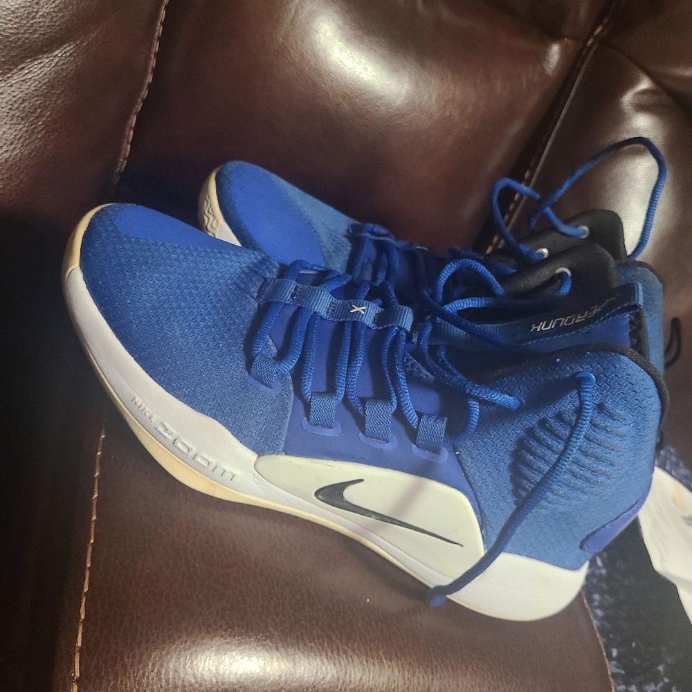 Nike Hyper Dunk Zoom Shoes